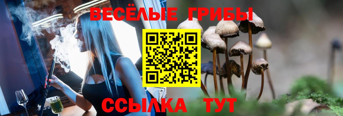Псилоцибиновые грибы Cubensis Советск