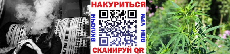 Канабис планчик  Советск 